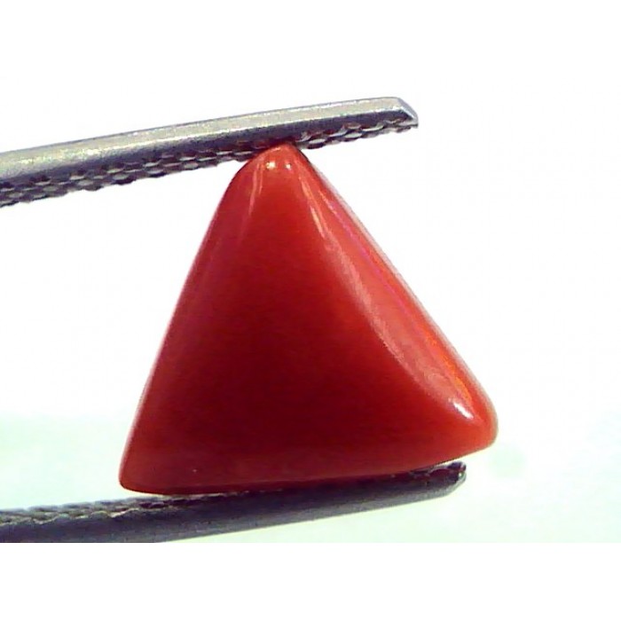4.29 Cts Certified 100% Natural Coral Trangular Polished Shape Loose Gemstone (Size : 11.20X11.30X5.81 MM)